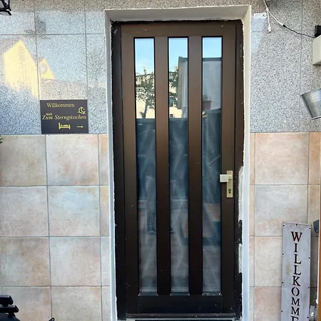 Lägenhet Zum Sterngaesschen Ludwigshafen am Rhein