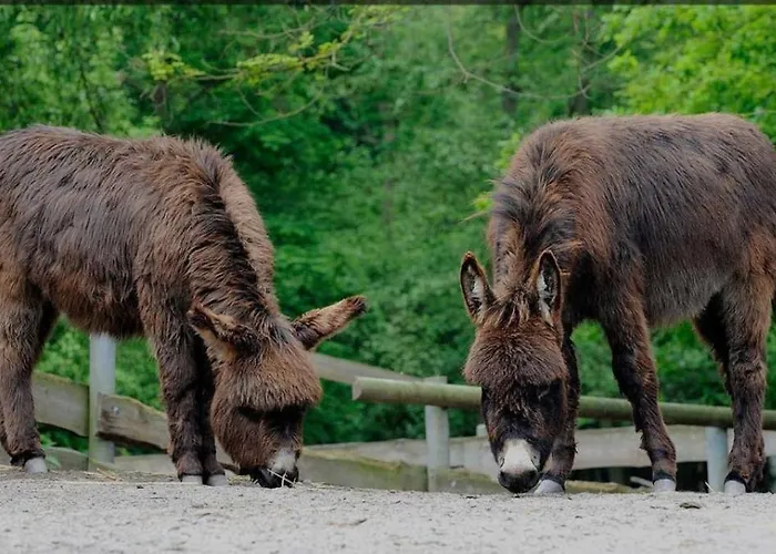 Zum Sterngässchen * Ludwigshafen am Rhein