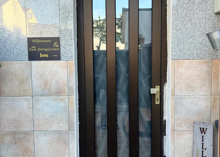 Appartement Zum Sterngaesschen Ludwigshafen